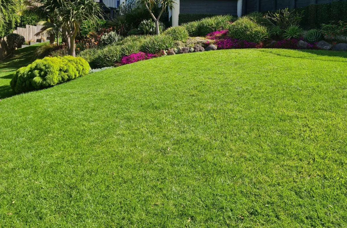 Beautiful lawn and garden upkeep