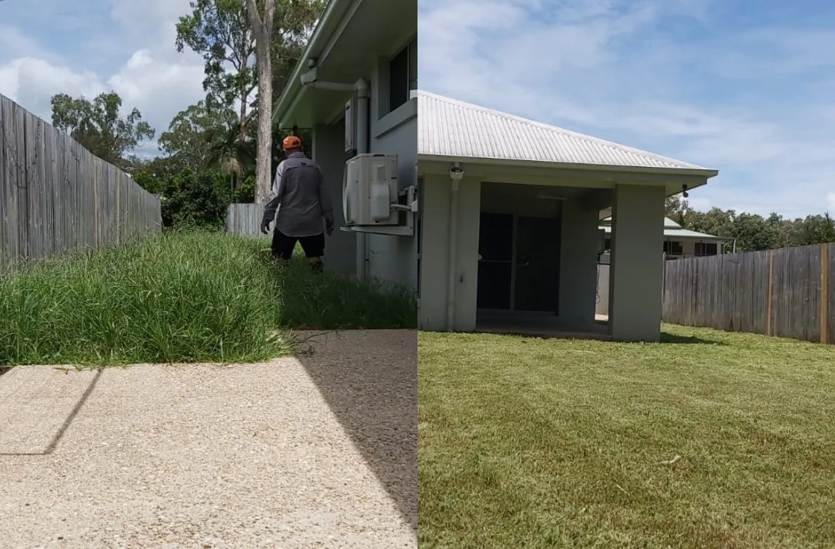 Lawn mow before and after